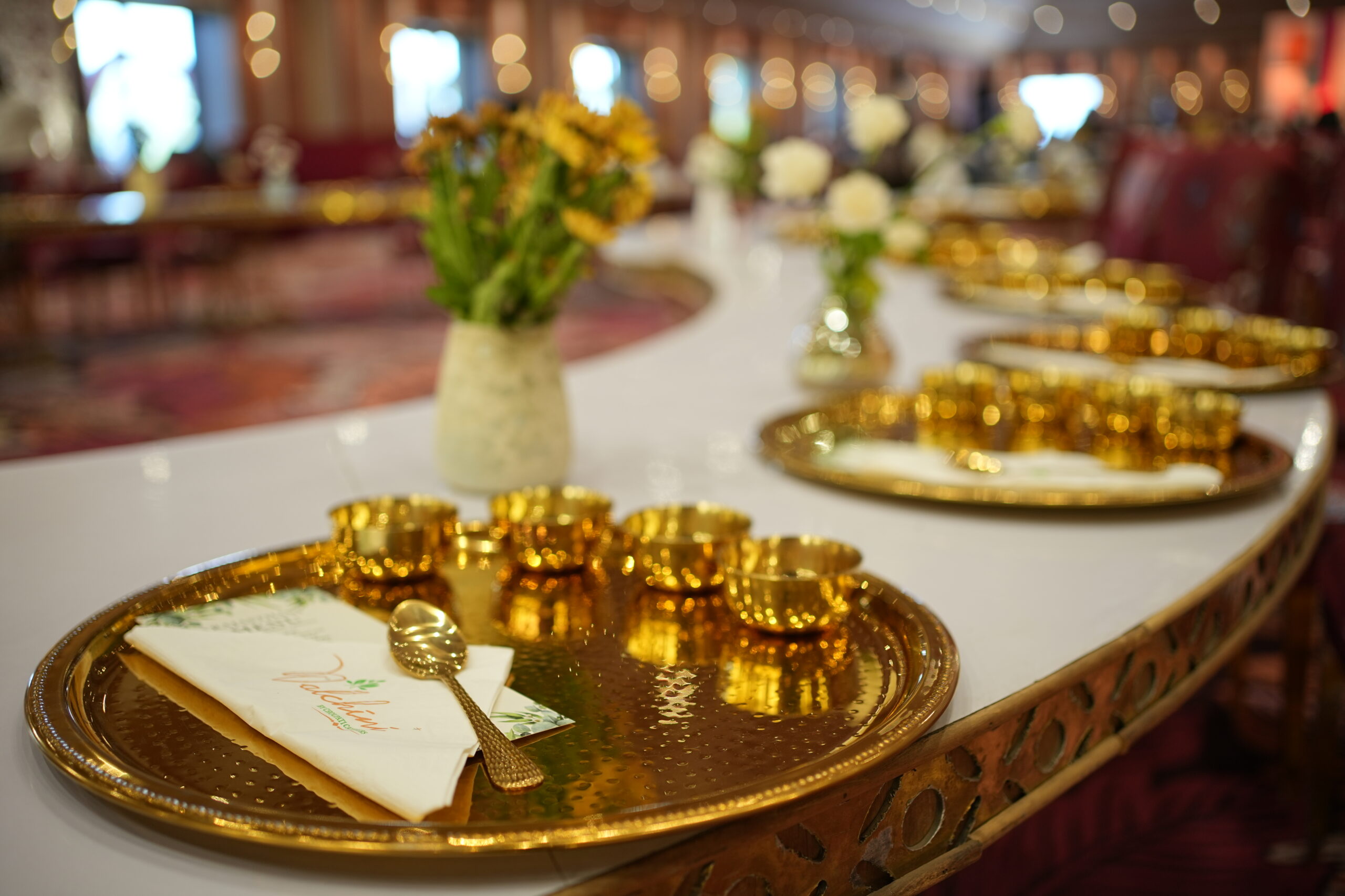 Dalchini Caterers Pushkar catering food 3