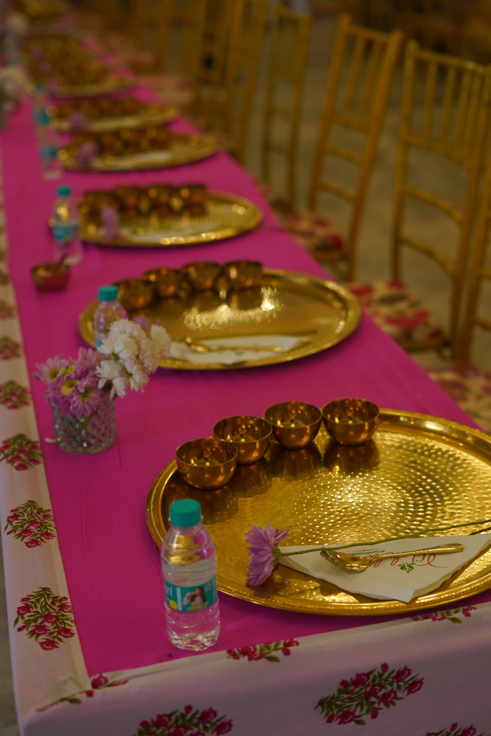 Dalchini Caterers Ranthambore catering food 14