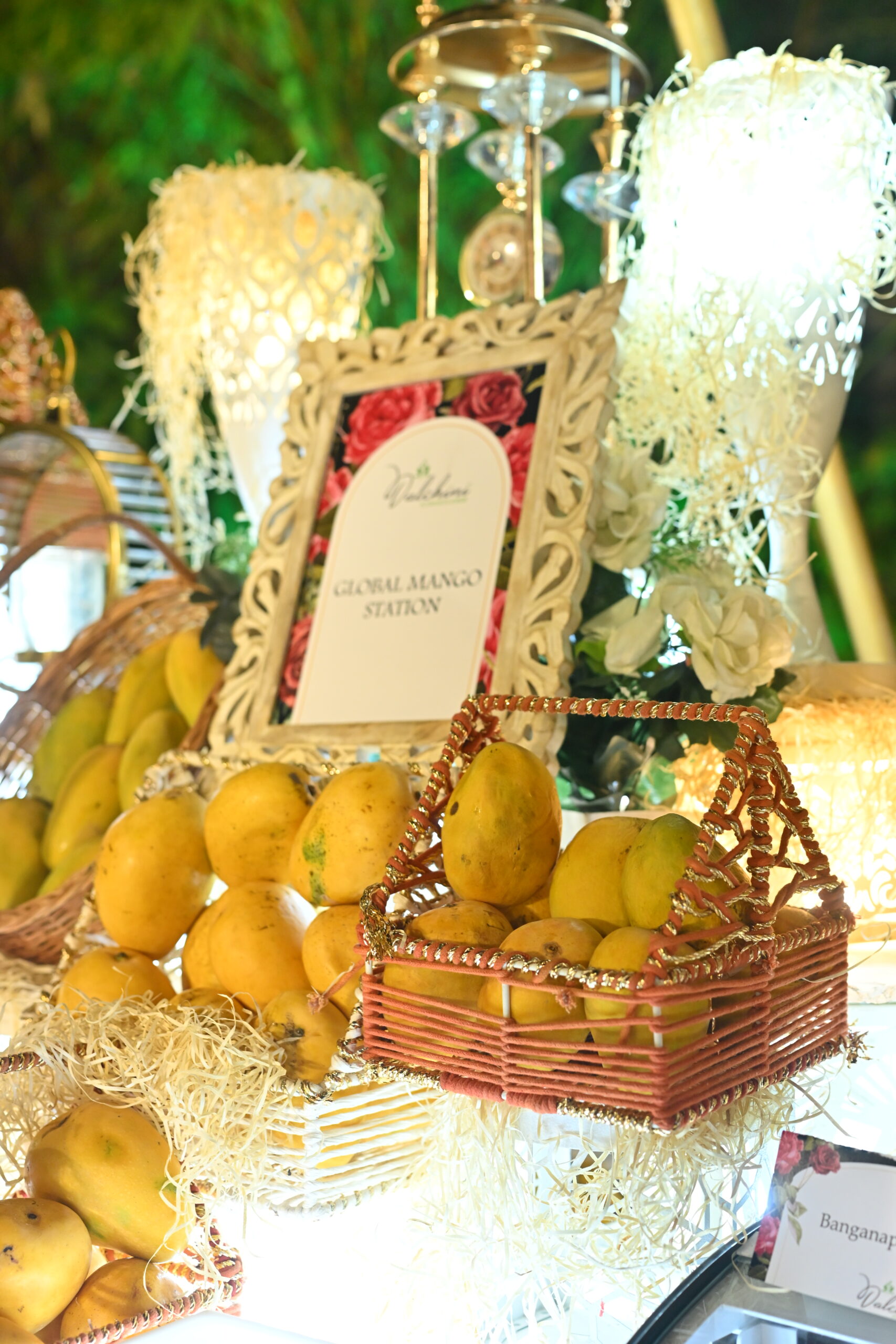 Dalchini Caterers Ranthambore catering food 12