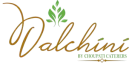 Dalchini Caterers